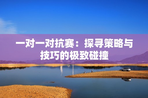一对一对抗赛：探寻策略与技巧的极致碰撞