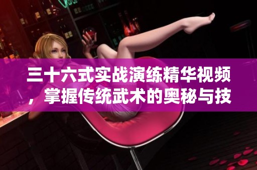 三十六式实战演练精华视频，掌握传统武术的奥秘与技巧