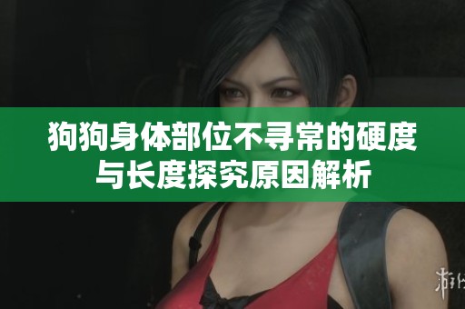 狗狗身体部位不寻常的硬度与长度探究原因解析