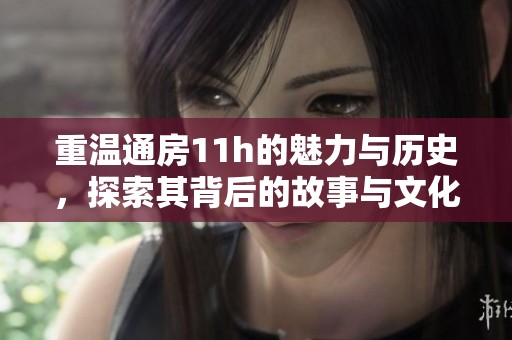 重温通房11h的魅力与历史，探索其背后的故事与文化