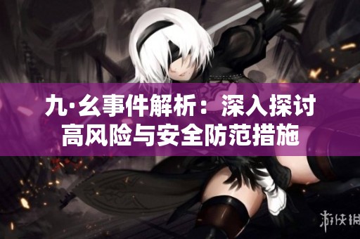 九·幺事件解析：深入探讨高风险与安全防范措施