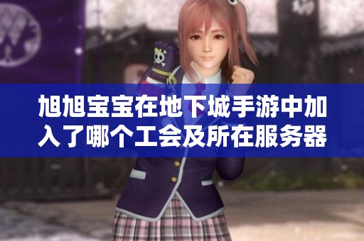 旭旭宝宝在地下城手游中加入了哪个工会及所在服务器信息揭秘