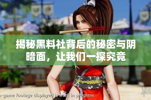 揭秘黑料社背后的秘密与阴暗面，让我们一探究竟