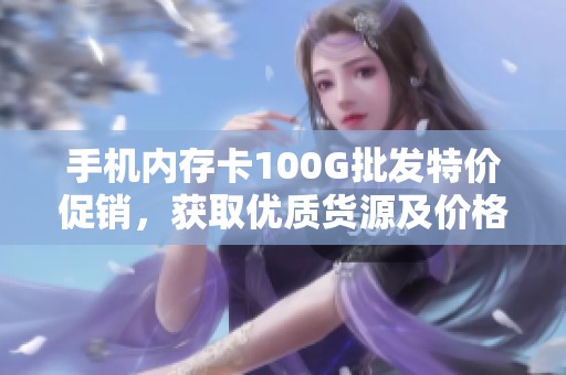 手机内存卡100G批发特价促销，获取优质货源及价格信息
