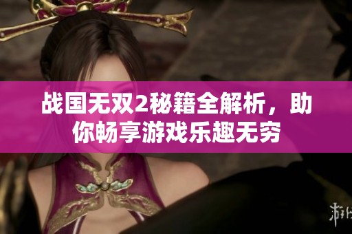 战国无双2秘籍全解析，助你畅享游戏乐趣无穷