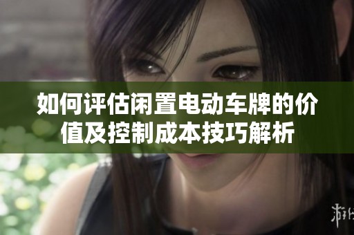 如何评估闲置电动车牌的价值及控制成本技巧解析
