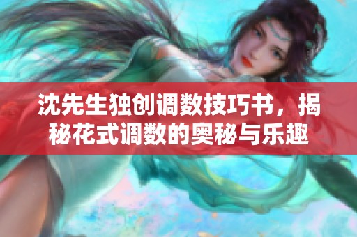 沈先生独创调数技巧书，揭秘花式调数的奥秘与乐趣