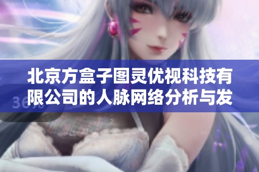 北京方盒子图灵优视科技有限公司的人脉网络分析与发展潜力探讨