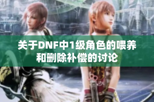 关于DNF中1级角色的喂养和删除补偿的讨论