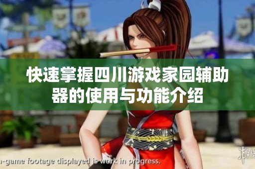 快速掌握四川游戏家园辅助器的使用与功能介绍