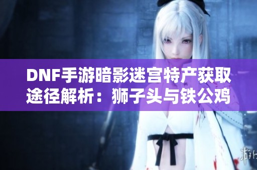 DNF手游暗影迷宫特产获取途径解析：狮子头与铁公鸡的选择