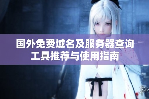 国外免费域名及服务器查询工具推荐与使用指南