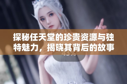 探秘任天堂的珍贵资源与独特魅力，揭晓其背后的故事