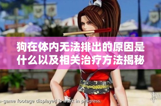 狗在体内无法排出的原因是什么以及相关治疗方法揭秘