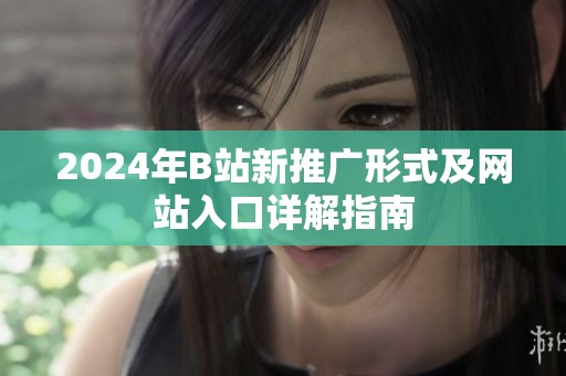 2024年B站新推广形式及网站入口详解指南