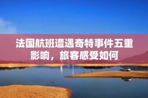 法国航班遭遇奇特事件五重影响，旅客感受如何