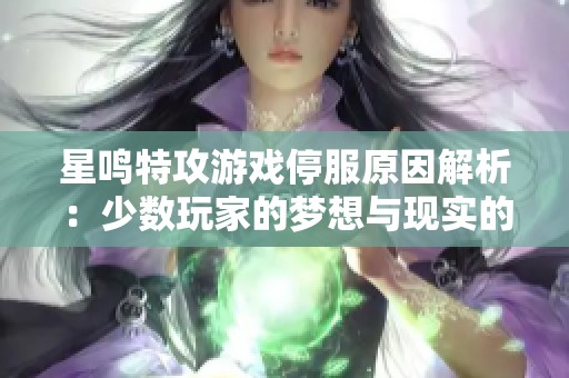 星鸣特攻游戏停服原因解析：少数玩家的梦想与现实的碰撞