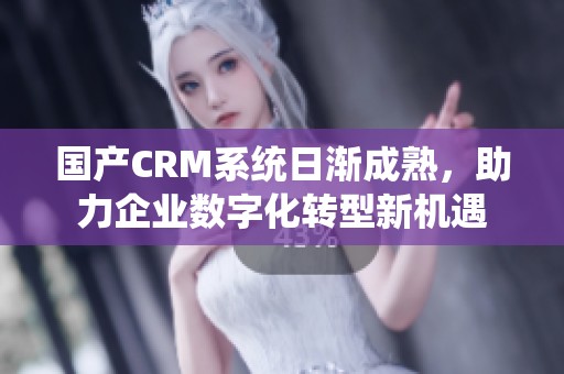 国产CRM系统日渐成熟，助力企业数字化转型新机遇