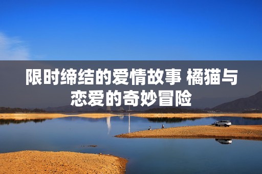 限时缔结的爱情故事 橘猫与恋爱的奇妙冒险