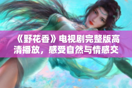 《野花香》电视剧完整版高清播放，感受自然与情感交织的故事
