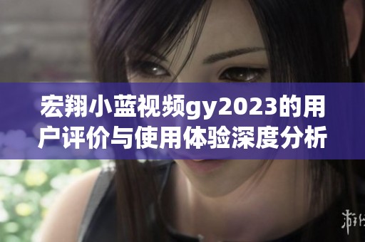 宏翔小蓝视频gy2023的用户评价与使用体验深度分析