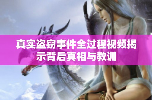 真实盗窃事件全过程视频揭示背后真相与教训