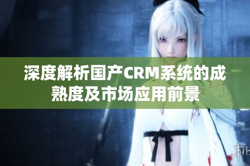 深度解析国产CRM系统的成熟度及市场应用前景