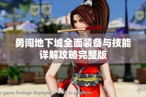 勇闯地下城全面装备与技能详解攻略完整版