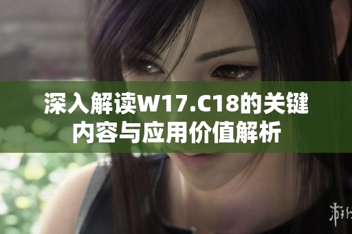 深入解读W17.C18的关键内容与应用价值解析