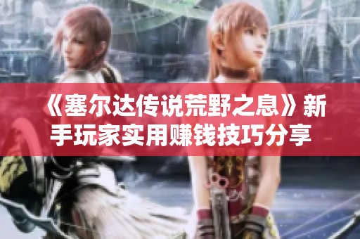 《塞尔达传说荒野之息》新手玩家实用赚钱技巧分享
