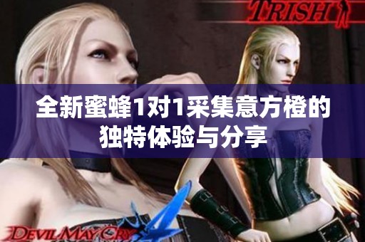 全新蜜蜂1对1采集意方橙的独特体验与分享