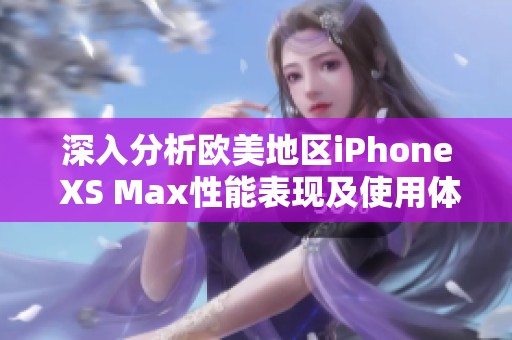 深入分析欧美地区iPhone XS Max性能表现及使用体验