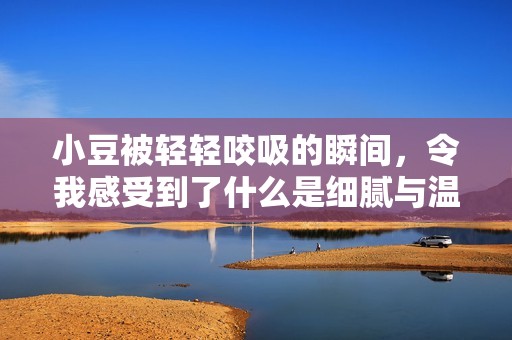 小豆被轻轻咬吸的瞬间，令我感受到了什么是细腻与温柔