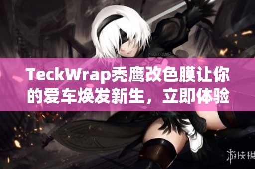 TeckWrap秃鹰改色膜让你的爱车焕发新生，立即体验！