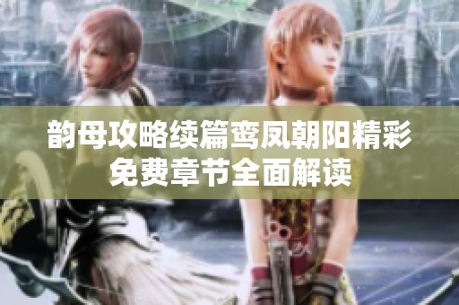 韵母攻略续篇鸾凤朝阳精彩免费章节全面解读