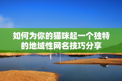 如何为你的猫咪起一个独特的地域性网名技巧分享