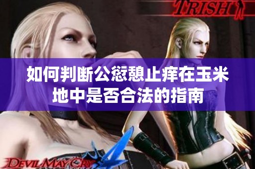 如何判断公愆憩止痒在玉米地中是否合法的指南
