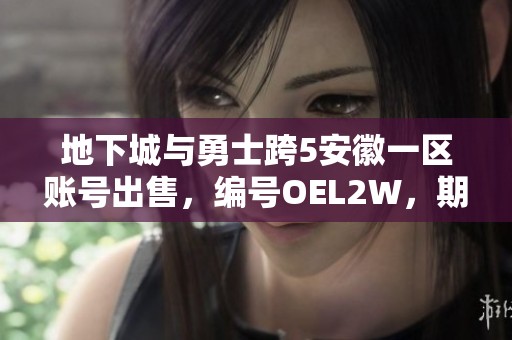 地下城与勇士跨5安徽一区账号出售，编号OEL2W，期待买家前来洽谈