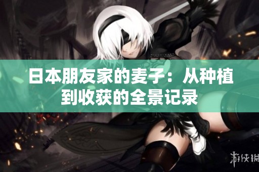 日本朋友家的麦子：从种植到收获的全景记录