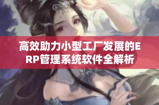 高效助力小型工厂发展的ERP管理系统软件全解析