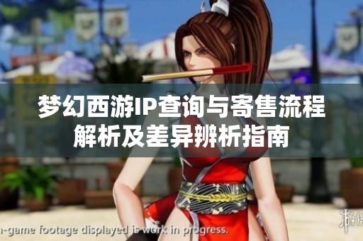 梦幻西游IP查询与寄售流程解析及差异辨析指南