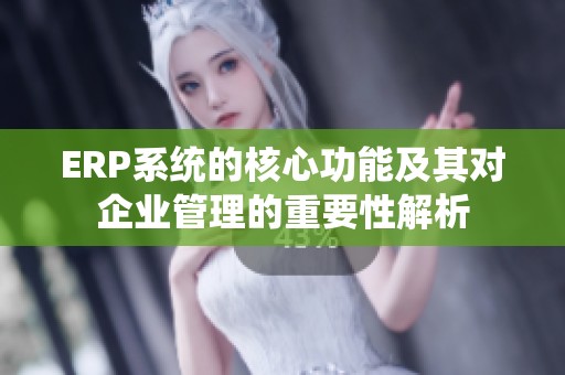 ERP系统的核心功能及其对企业管理的重要性解析