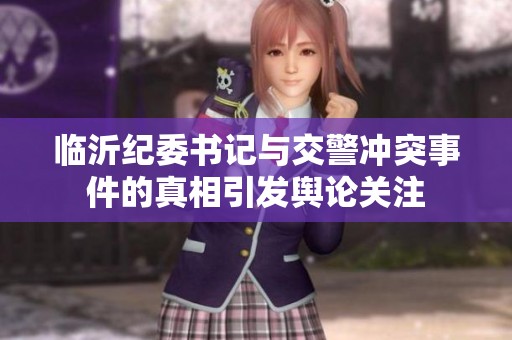 临沂纪委书记与交警冲突事件的真相引发舆论关注