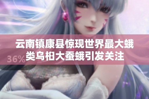 云南镇康县惊现世界最大蛾类乌桕大蚕蛾引发关注