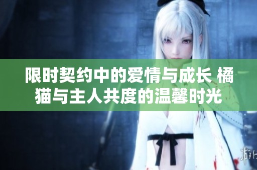 限时契约中的爱情与成长 橘猫与主人共度的温馨时光