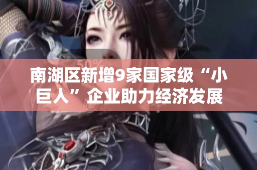 南湖区新增9家国家级“小巨人”企业助力经济发展