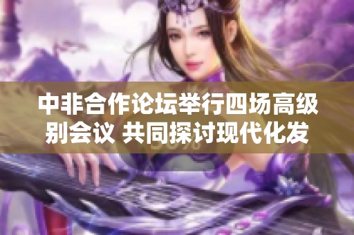 中非合作论坛举行四场高级别会议 共同探讨现代化发展路径