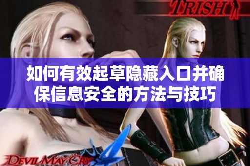 如何有效起草隐藏入口并确保信息安全的方法与技巧