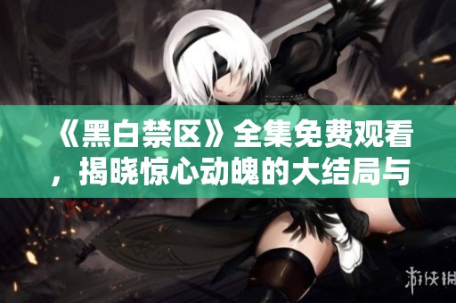 《黑白禁区》全集免费观看，揭晓惊心动魄的大结局与人物命运