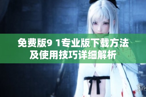 免费版9 1专业版下载方法及使用技巧详细解析